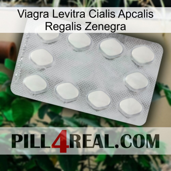 Viagra Levitra Cialis Apcalis Regalis Zenegra 16.jpg